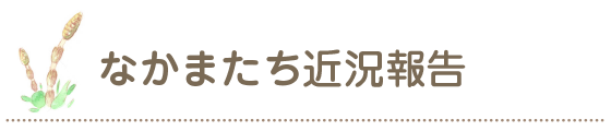 なかまたち近況報告